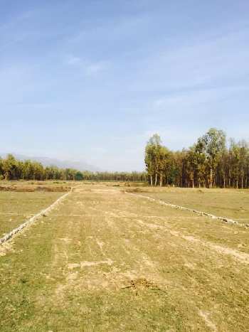 900 Sq. Yards Agricultural/Farm Land for Sale in Dhoomnagar, Dehradun