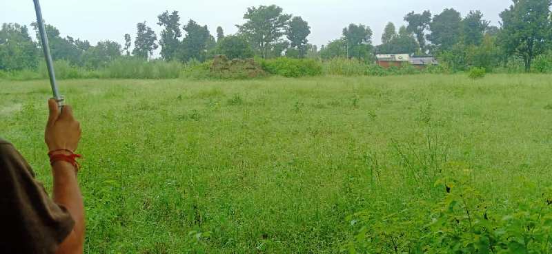 5.5 Bigha Agricultural/Farm Land for Sale in Dudhli Road, Dehradun