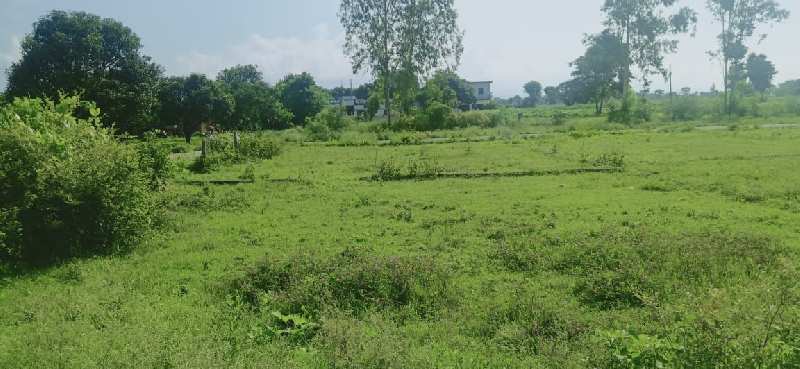 40 Bigha Residential Plot for Sale in Selakui, Dehradun