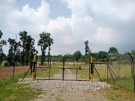65 Bigha Agricultural/Farm Land for Sale in Bhauwala, Dehradun