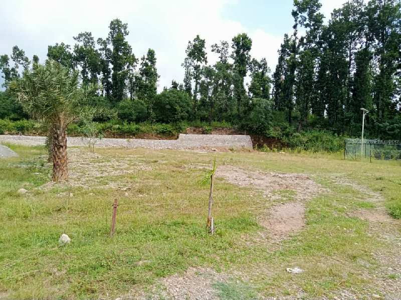 65 Bigha Agricultural/Farm Land for Sale in Bhauwala, Dehradun