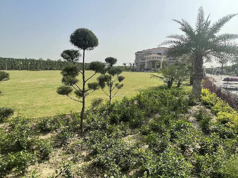 9 BHK Farm House for Sale in Sector 1, Greater Noida (10000 Sq. Yards)