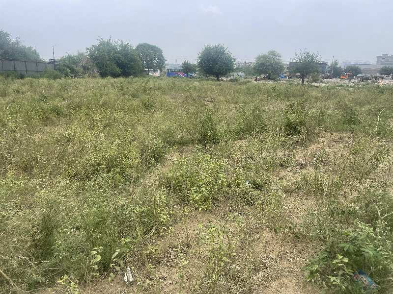 12500 Sq. Meter Commercial Lands /Inst. Land for Sale in Sector 75, Noida