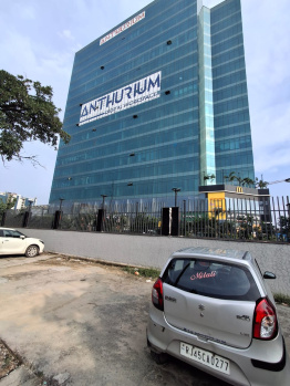 Showrooms for Sale in Sector 73, Noida (3000 Sq.ft.)