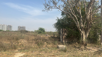 75 Sq. Yards Residential Plot for Sale in Sorkha, Noida