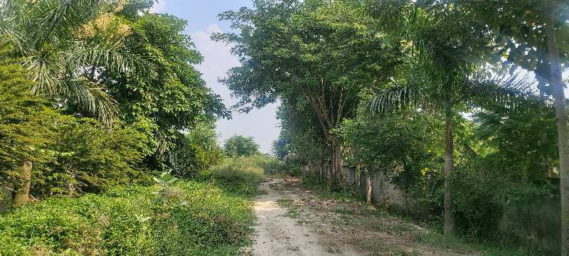 4000 Sq. Yards Agricultural/Farm Land for Sale in Sector 146, Noida