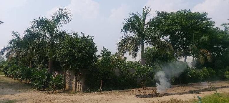 Property for sale in Sector 146 Noida