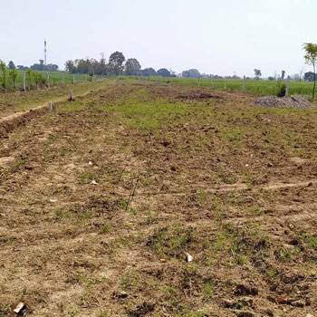 4.25 Bigha Agricultural/Farm Land for Sale in Sahaspur, Dehradun