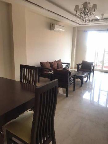 3 BHK Builder Floor for Rent in DLF Phase II, Gurgaon (215 Sq. Yards)