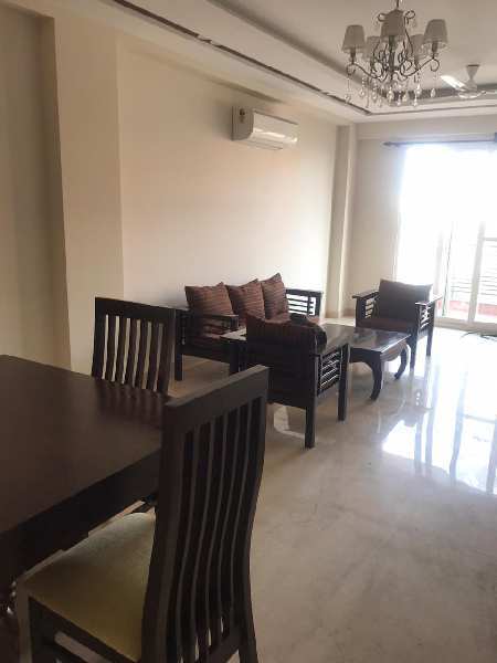 3 BHK Builder Floor for Rent in DLF Phase II, Gurgaon (215 Sq. Yards)