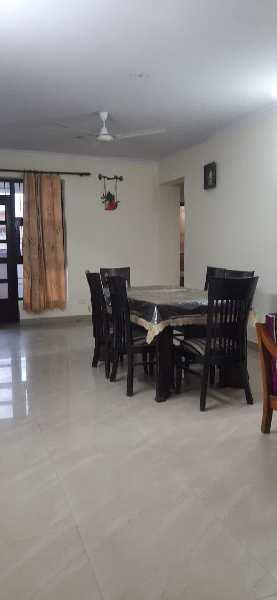 2 BHK Flats & Apartments for Sale in DLF Phase IV, Gurgaon (1105 Sq.ft.)