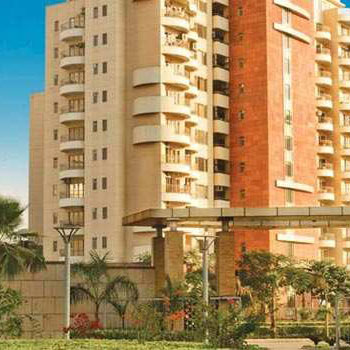 4 BHK Flats & Apartments for Sale in Sector 30, Gurgaon (4280 Sq.ft.)