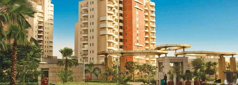 4 BHK Flats & Apartments for Sale in Sector 30, Gurgaon (4280 Sq.ft.)
