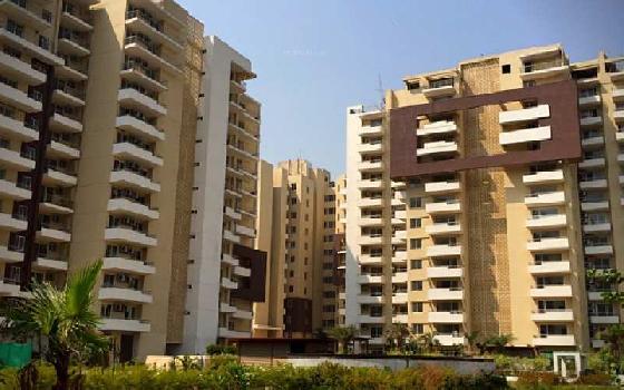 4 BHK Flats & Apartments for Sale in DLF Phase V, Gurgaon (4126 Sq.ft.)