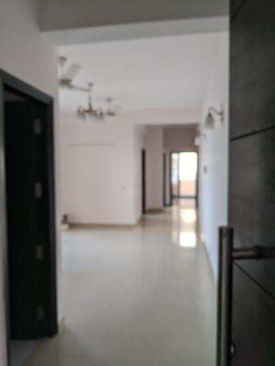 4 BHK Flats & Apartments for Sale in DLF Phase V, Gurgaon (4126 Sq.ft.)