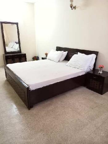 4 BHK Builder Floor for Rent in Sector 43, Gurgaon (500 Sq. Yards)