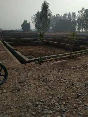 100 Sq. Yards Commercial Lands /Inst. Land for Sale in Jewar, Gautam Buddha Nagar