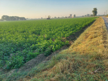 land For sale suitable for Residential Plotting on NH9
