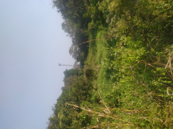 Land for sale at near  to  lohop   khalapur