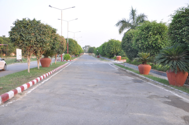116sqyd Residential Plot for sale at fatehabad Road,Agra