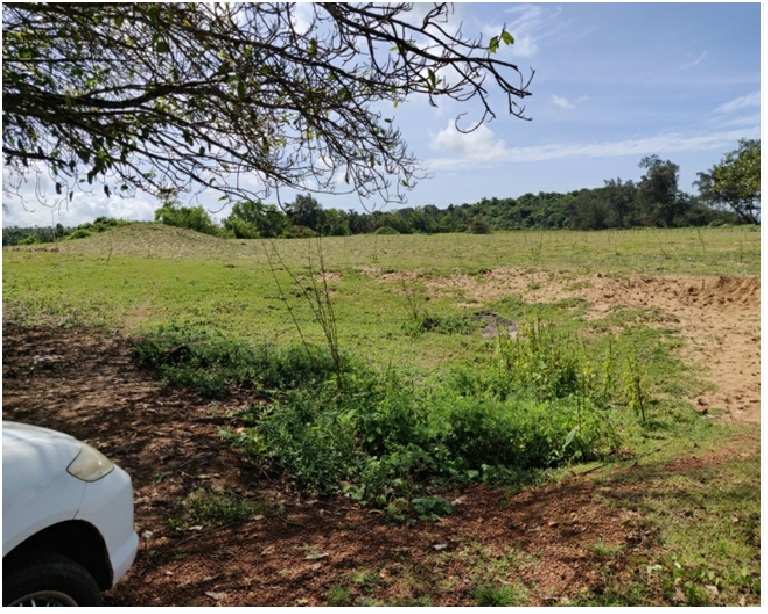 41.25 Acre Agricultural/Farm Land for Sale in Canacona, Goa