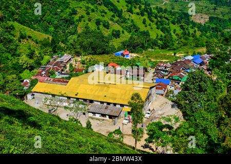 255 Acre Agricultural/Farm Land for Sale in Kurseong, Darjeeling