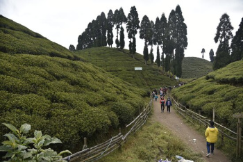 Property for sale in Mirik, Darjeeling