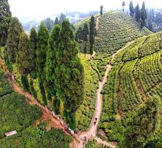 Property for sale in Mirik, Darjeeling