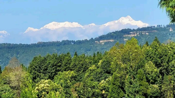 3 Katha Residential Plot for Sale in Rishi Road, Kalimpong