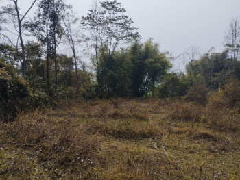 1.5 Acre Agricultural/Farm Land for Sale in Rishi Road, Kalimpong