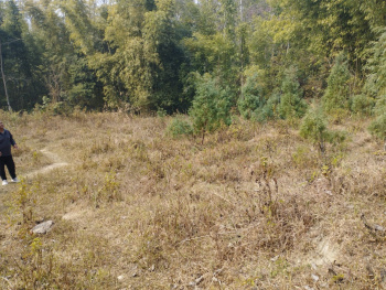 Property for sale in Rishi Road, Kalimpong
