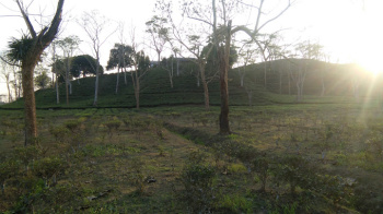 Property for sale in Lala, Hailakandi