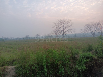 Property for sale in Lala, Hailakandi