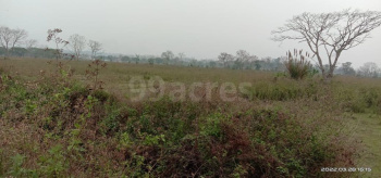 2400 Bigha Agricultural/Farm Land for Sale in Lala, Hailakandi