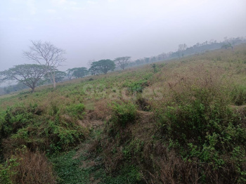 2400 Bigha Agricultural/Farm Land for Sale in Lala, Hailakandi