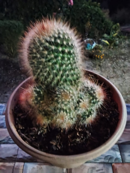 Property for sale in Mall Road, Darjeeling