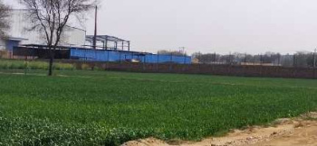 Agricultural/Farm Land for Sale in Jhajjar Road, Gurgaon (18 Ares)