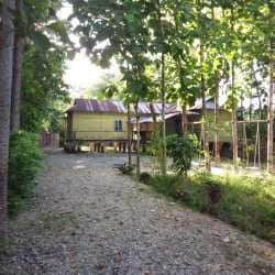 Property for sale in Malbazar, Jalpaiguri