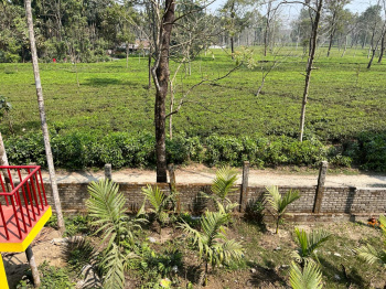 RESORT AT THE BANK OF JALDAPARA RIVER