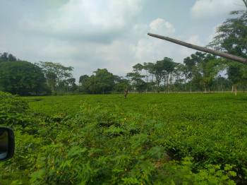 Property for sale in Malbazar, Jalpaiguri