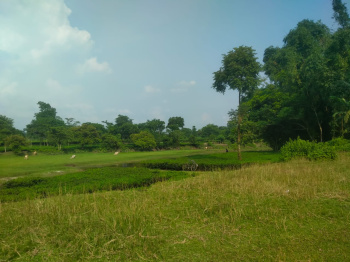 Property for sale in Malbazar, Jalpaiguri