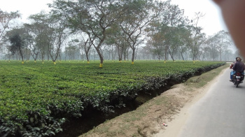 Property for sale in Naxalbari, Darjeeling