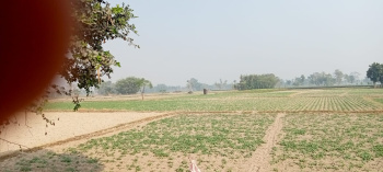 Industrial cum commercial plot at islampur,uttar dinajpur, west bengal