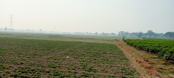 Property for sale in Islampur, Uttar Dinajpur