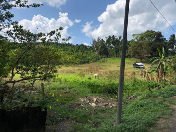 Property for sale in Islampur, Uttar Dinajpur