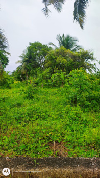 Agriculture land suitable for farm house and also cultivation