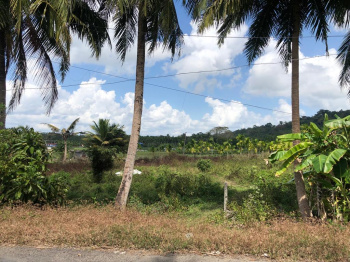 Property for sale in Islampur, Uttar Dinajpur