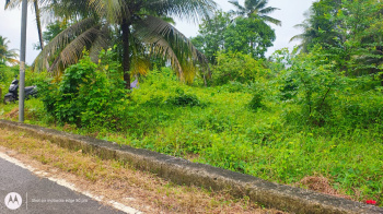 Industrial and commercial land in ethani bankura West Bengal