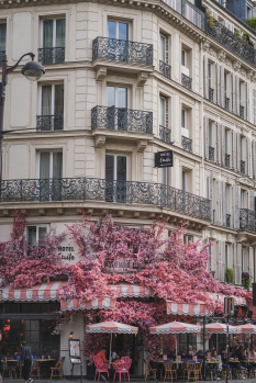 A three star hotel cum resort in Havelock Andaman Nicobar islands