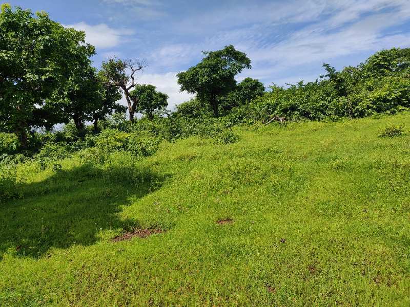 40 Ares Commercial Lands /Inst. Land for Sale in South Goa, Goa
